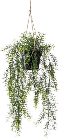 Emerald - Kunst Hangplant in pot Asparagus 50cm - Kunstplanten voor binnen
