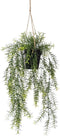 Emerald - Kunst Hangplant in pot Asparagus 50cm - Kunstplanten voor binnen