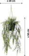Emerald - Kunst Hangplant in pot Asparagus 50cm - Kunstplanten voor binnen