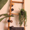 Emerald - Kunst Hangplant in pot Asparagus 50cm - Kunstplanten voor binnen