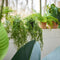 Emerald - Kunst Hangplant in pot Bamboe 50cm - Kunstplanten voor binnen