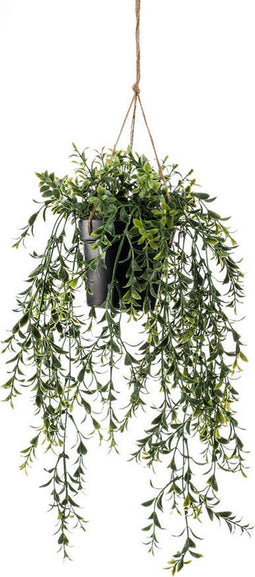 Emerald - Kunst Hangplant in pot Buxus 50cm - Kunstplanten voor binnen