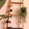 Emerald - Kunst Hangplant in pot Buxus 50cm - Kunstplanten voor binnen
