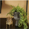 Emerald - Kunst Hangplant in pot Buxus 50cm - Kunstplanten voor binnen