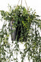 Emerald - Kunst Hangplant in pot Buxus 50cm - Kunstplanten voor binnen