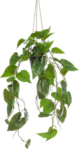 Emerald - Kunst Hangplant in pot Philodendron Scandens 80cm - Kunstplanten voor binnen
