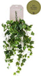Emerald - Kunst Hangplant Ivy groen 70cm - Kunstplanten voor binnen