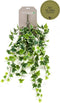 Emerald - Kunst Hangplant Ivy groen/wit 70cm - Kunstplanten voor binnen