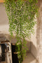 Emerald - Kunst Hangplant Jasmijn Mini 80cm - Kunstplanten voor binnen