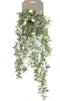 Emerald - Kunst Hangplant Roos Mini wit 75cm - Kunstplanten voor binnen