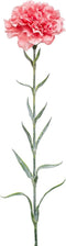 Emerald - Kunstbloem Anjer 67cm roze - Kunstplanten voor binnen