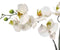 Emerald Kunstbloem Orchidee - 100 cm - wit/groen - losse tak - kunst zijdebloem - Phalaenopsis