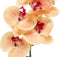 Emerald Kunstbloem Orchidee - 83 cm - zalm kleurig - losse tak - kunst zijdebloem - Phalaenopsis
