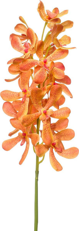 Emerald - Kunstbloem Vanda RT 80cm oranje - Kunstplanten voor binnen