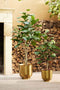 Emerald - Kunstboom Ficus Lyrata 150cm - Kunstplanten voor binnen