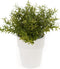 Emerald Kunstplant Bamboe - H 25 cm