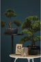 Emerald Kunstplant ceder bonsai groen 32 cm 420001