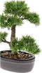 Emerald Kunstplant ceder bonsai groen 32 cm 420001