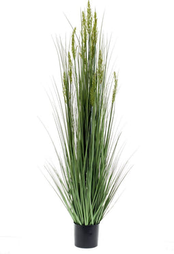 Emerald Kunstplant graangras 150 cm