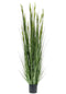 Emerald Kunstplant graangras 150 cm