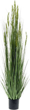 Emerald Kunstplant graangras 150 cm
