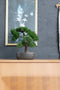 Emerald Kunstplant in bruine pot Pinus Bonsai 32 cm