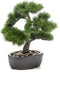 Emerald Kunstplant in bruine pot Pinus Bonsai 32 cm