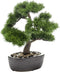 Emerald Kunstplant in bruine pot Pinus Bonsai 32 cm