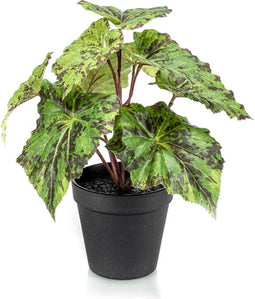 Emerald - Kunstplant in pot Begonia groen 25cm - Kunstplanten voor binnen