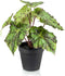 Emerald - Kunstplant in pot Begonia groen 25cm - Kunstplanten voor binnen
