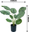 Emerald - Kunstplant in pot Calathea Orbifolia 45cm - Kunstplanten voor binnen