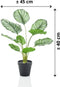 Emerald - Kunstplant in pot Calathea Orbifolia 45cm - Kunstplanten voor binnen