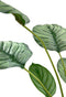 Emerald - Kunstplant in pot Calathea Orbifolia 45cm - Kunstplanten voor binnen