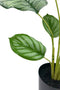 Emerald - Kunstplant in pot Calathea Orbifolia 45cm - Kunstplanten voor binnen