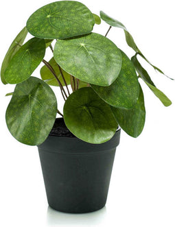 Emerald - Kunstplant in pot Pilea 22cm - Kunstplanten voor binnen