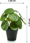 Emerald - Kunstplant in pot Pilea 22cm - Kunstplanten voor binnen