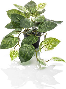Emerald - Kunstplant in pot Scindapsus groen/wit 55cm - Kunstplanten voor binnen