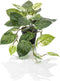 Emerald - Kunstplant in pot Scindapsus groen/wit 55cm - Kunstplanten voor binnen