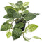 Emerald - Kunstplant in pot Scindapsus groen/wit 55cm - Kunstplanten voor binnen
