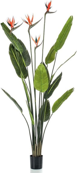 Emerald Kunstplant in pot strelitzia met 4 bloemen 150 cm
