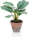 Emerald - Kunstplant - in - pot - Terra - calathea - orbifolia - 32 - cm