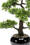 Emerald Kunstplant mini bonsai ficus groen 47 cm 420006