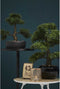 Emerald Kunstplant mini bonsai ficus groen 47 cm 420006