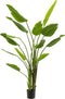 Emerald - Kunstplant Strelitzia 120cm - Kunstplanten voor binnen