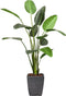 Emerald - Kunstplant Strelitzia 120cm - Kunstplanten voor binnen