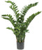Emerald - Kunstplant Zamioculcas 70cm - Kunstplanten voor binnen