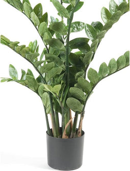 Emerald Kunstplant zamioculcas groen 110 cm 11.662C
