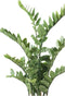 Emerald Kunstplant zamioculcas groen 110 cm 11.662C