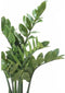 Emerald Kunstplant zamioculcas groen 110 cm 11.662C
