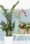 Emerald Kunstplant zamioculcas groen 110 cm 11.662C